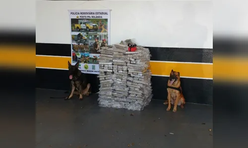 Polícia apreende caminhão carregado com cerca de 500 kg de maconha 