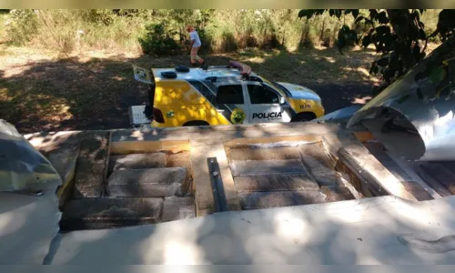 
							Polícia apreende caminhão carregado com cerca de 500 kg de maconha 
						
						