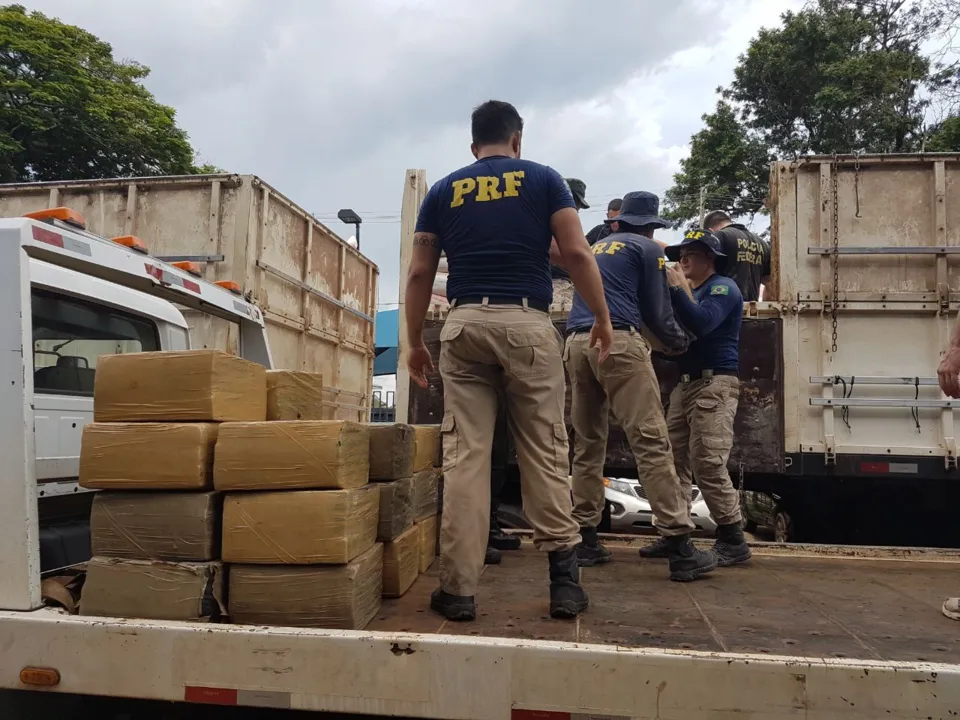 PRF triplica o número de apreensões de drogas no 1º trimestre no Paraná - Foto: Divulgação/PRF
