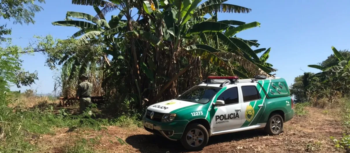 Polícia Ambiental foi até o matadouro investigar denúncias de lançamento irregular de resíduos. Foto: Divulgação/Polícia Ambiental