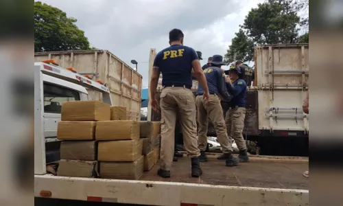 
							Apreensões feitas pela PRF no Paraná no 1º semestre totalizam 26,6 toneladas de drogas
						
						