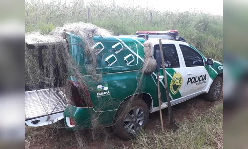 Homem é preso por pesca ilegal em Rosário do Ivaí