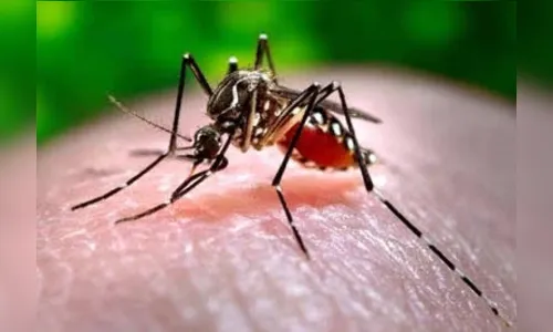 São João do Ivaí é o primeiro município do Paraná com epidemia de dengue em 2018