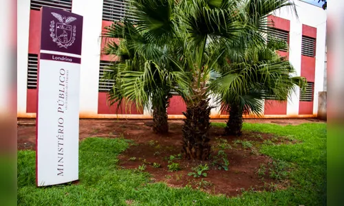 MP de Londrina realiza seletiva para estagiários de pós-graduação