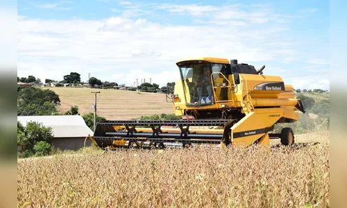 Preço da soja tem valorização de 21% e anima produtores