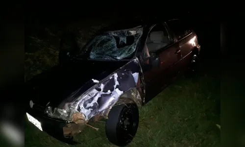 
							Vaca morre após ser atingida por veículo na PR-444
						
						