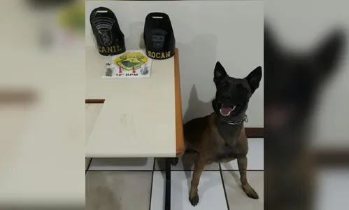 PM aborda 150 pessoas e flagra frequentadores de boate com cocaína e maconha 