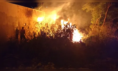 Queimada ao lado de residências exige trabalho rápido dos Bombeiros 