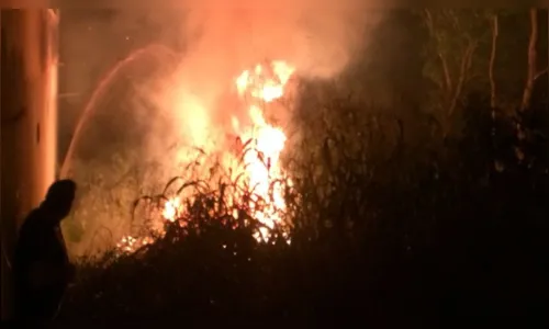 
							Queimada ao lado de residências exige trabalho rápido dos Bombeiros 
						
						