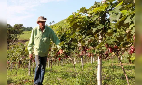 Termina sábado votação do Terra Forte em prêmio nacional
