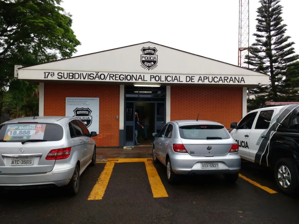 A mulher foi conduzida à 17ª SDP na última terça-feira. Foto: TNonline