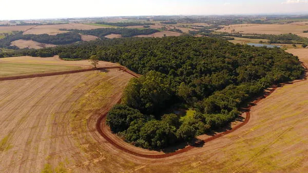 Ivaiporã cria nova Estação Ecológica