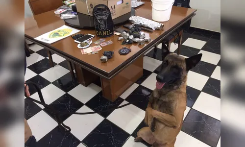 Operação cumpre mandados de prisão e prende cinco pessoas