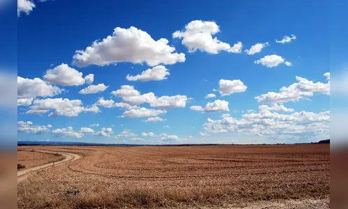 Estiagem prossegue e temperatura pode chegar a 33 graus hoje em Apucarana e região