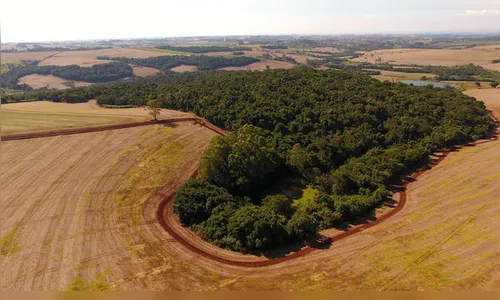 Ivaiporã cria nova Estação Ecológica