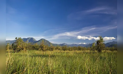 IAP regulamenta uso e proteção de áreas úmidas rurais