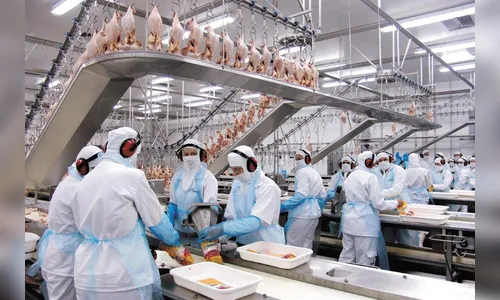 Interior fica com 90% dos 246 mil empregos criados no Paraná