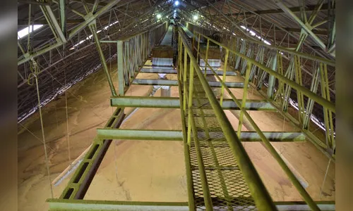 Soja tem safra recorde na região de Ivaiporã