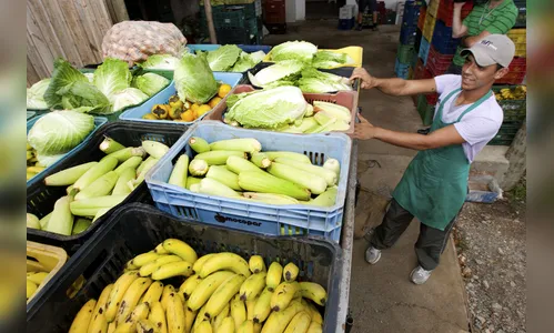 Escolas estaduais já receberam 2,7 mil toneladas de alimentos