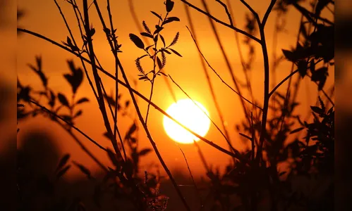 Simepar prevê temperatura mínima de 8 graus em Apucarana e região nesta quinta