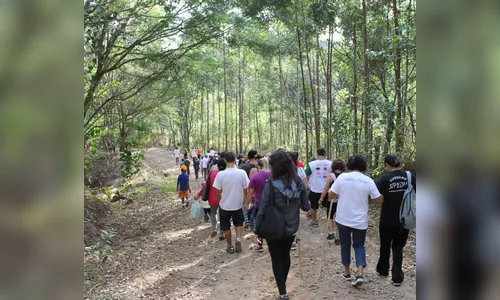 Igreja Católica promove domingo a 5ª Caminhada Ecorreligiosa em Apucarana
