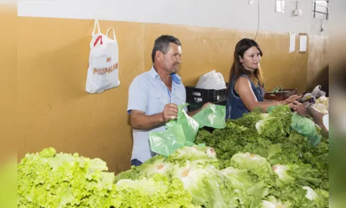 
							 Feira do Produtor vai comemorar 40 anos em Apucarana
						
						