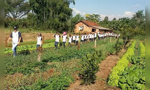 Projeto de Escola Municipal leva alunos para conhecer produção da agricultura familiar