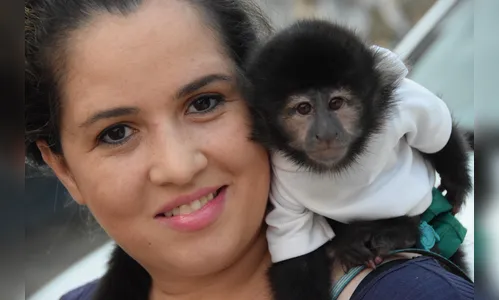 Mulher ganha macaco do esposo no aniversário de 20 anos de casamento; bicho tem páginas no face e instagram
