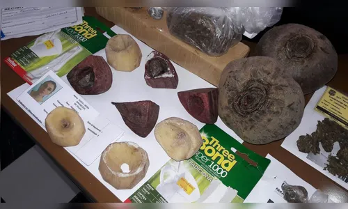 Agentes do Depen são presos por suspeita de facilitar entrada de drogas na cadeia