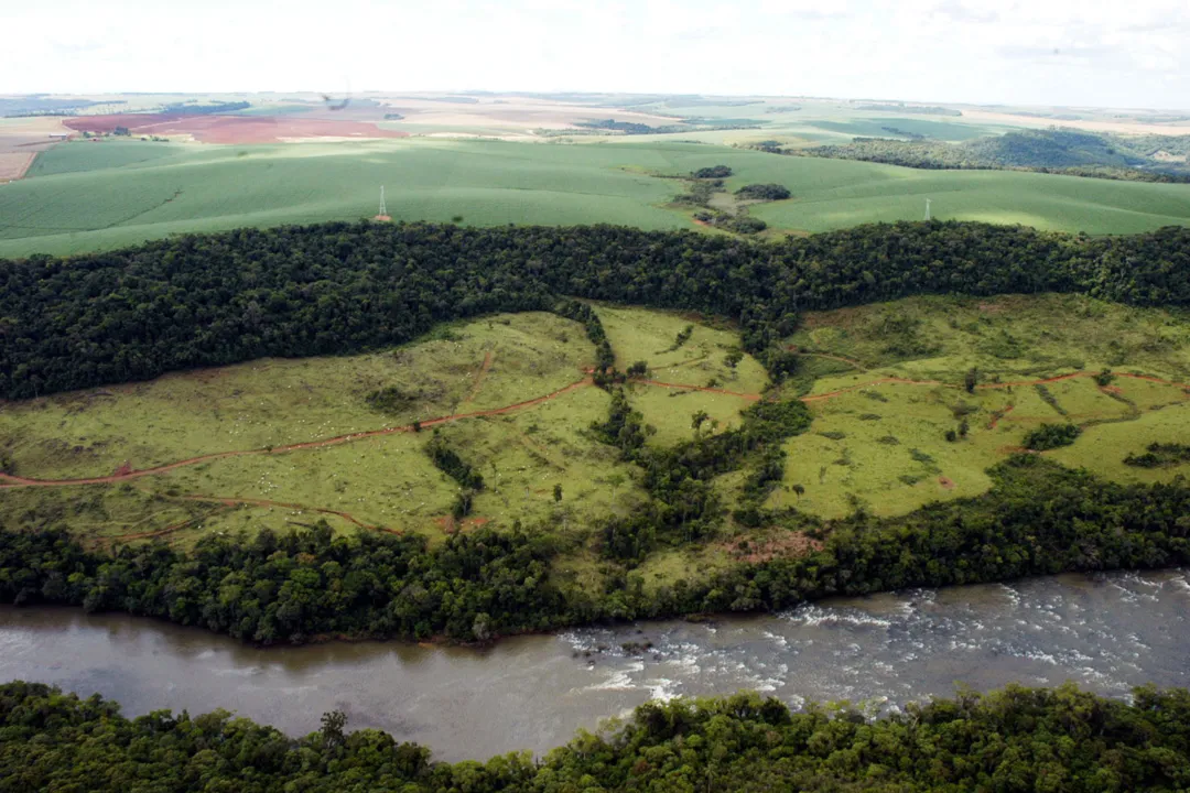 Paraná será primeiro a implantar programa nacional sobre solos