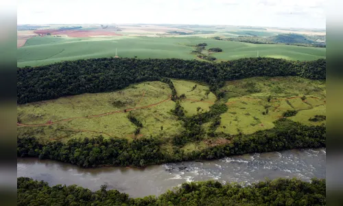 Paraná será primeiro a implantar programa nacional sobre solos