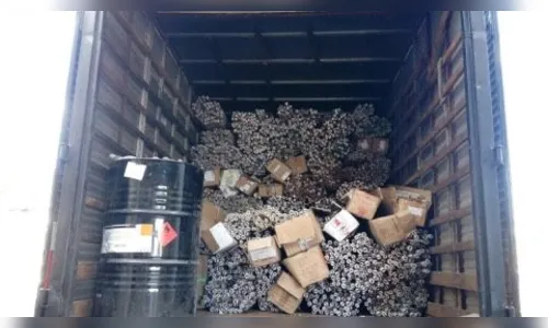 Arapongas recolhe 10 mil lâmpadas fluorescentes