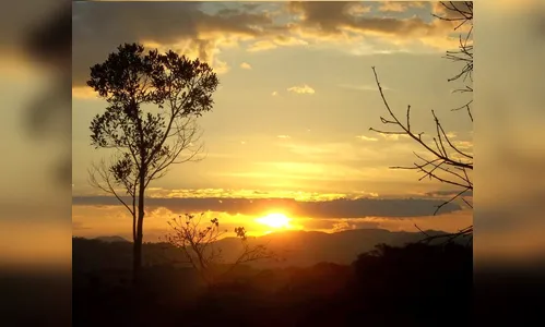 Temperatura hoje em Apucarana e região deve oscilar entre 12 e 24 graus