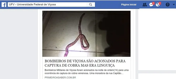 Imagem da linguiça encontrada em residência em Viçosa foi publicada por vários sites da cidade e região e compartilhada nas redes sociais - Foto: Reprodução/Facebok