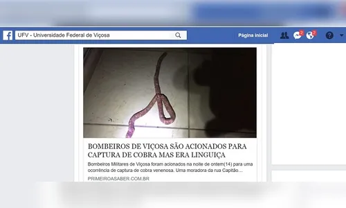Depois de confundir linguiça com cobra, mulher pede socorro aos Bombeiros
