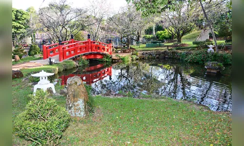 Acea lança a 24ª Festa da Cerejeira na próxima semana 
