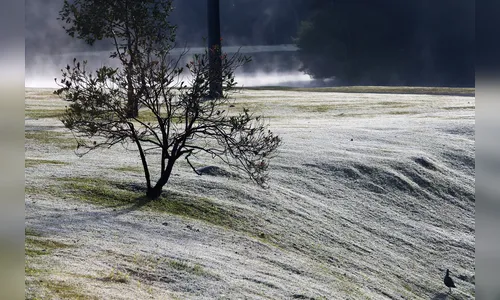 Nova massa de ar frio entra no Sul e geada pode ser forte