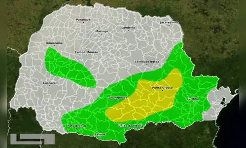 
							Simepar emite alerta de geada
						
						