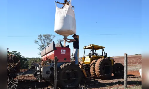Após chuva, agricultores apressam plantio de trigo