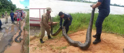 Foto: Reprodução/NewsRondônia​