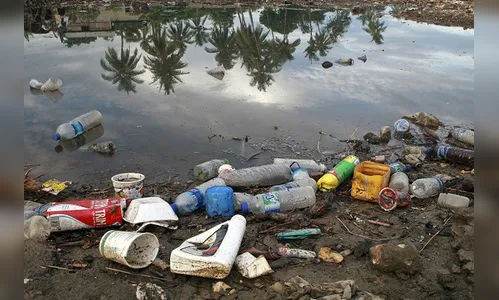 Poluição plástica é tema do Dia Mundial do Meio Ambiente 2018