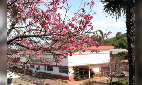 Acea dá sequência a preparativos para 24ª Festa da Cerejeira em Apucarana