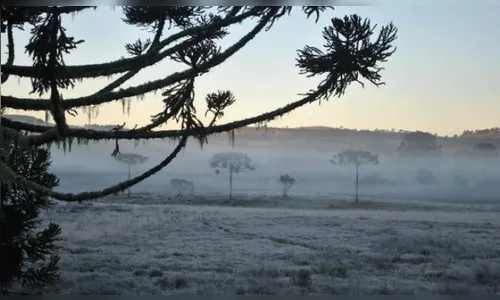 Apucarana registra temperatura de 6 graus nesta sexta-feira, aponta Simepar