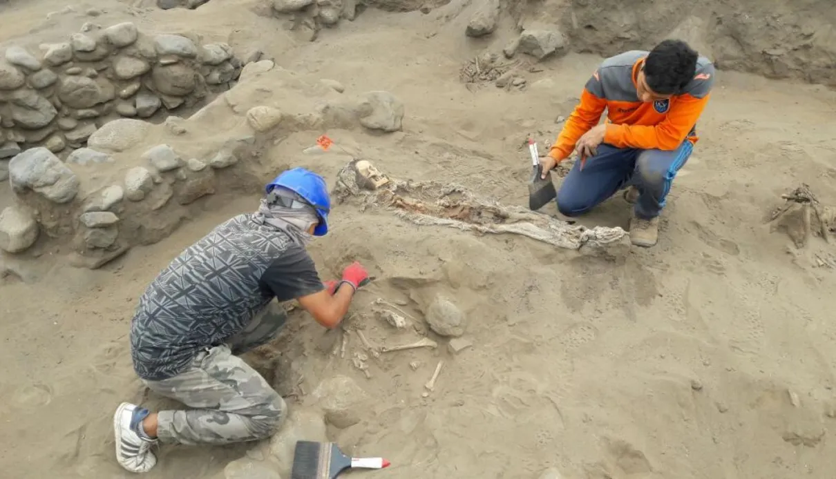 Pesquisadores encontram 56 esqueletos de crianças sacrificadas em rituais pagãos - Foto: Johnny Aurazo/El Comércio