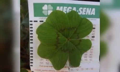 Mega-Sena acumula e próximo prêmio deve pagar R$ 72 milhões