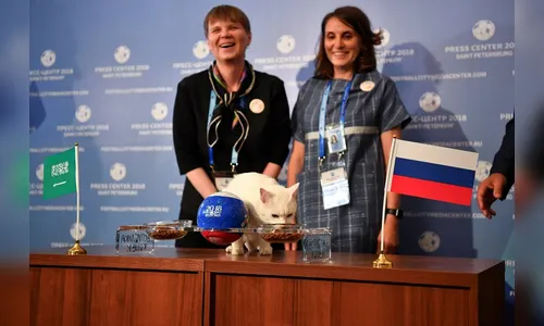 Após polvo Paul, Rússia usa `gato` vidente na Copa