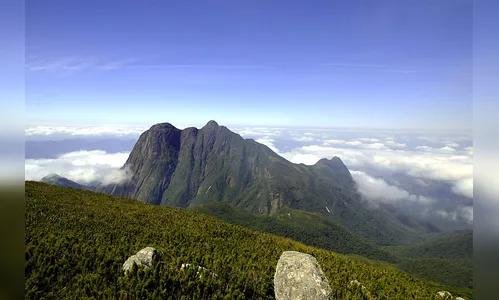 IAP regulamenta captação de imagens em unidades de conservação
