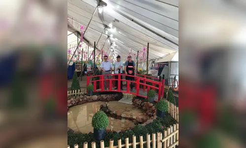 24ª Festa da Cerejeira encerra neste domingo