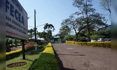 Governo autoriza a contratação de professores para universidades estaduais