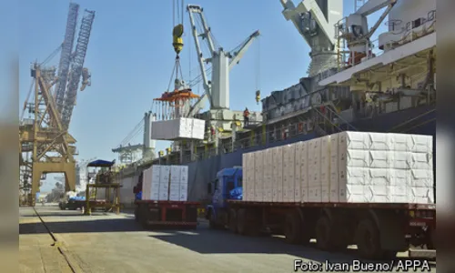 Porto de Paranaguá recebe 100º navio da Klabin